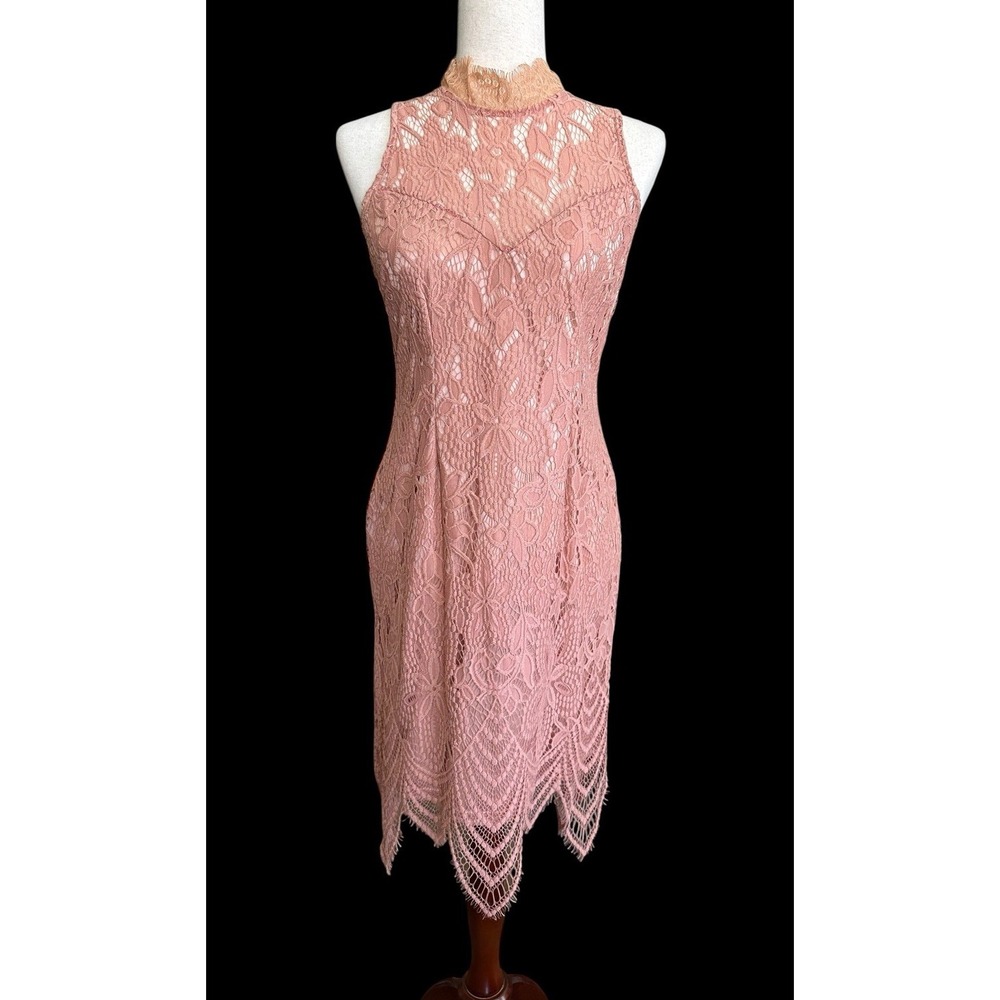 Lilian Mauve Blush Pink Lace Dress Size‎ L Lined Sheath Vintage 40's Victorian